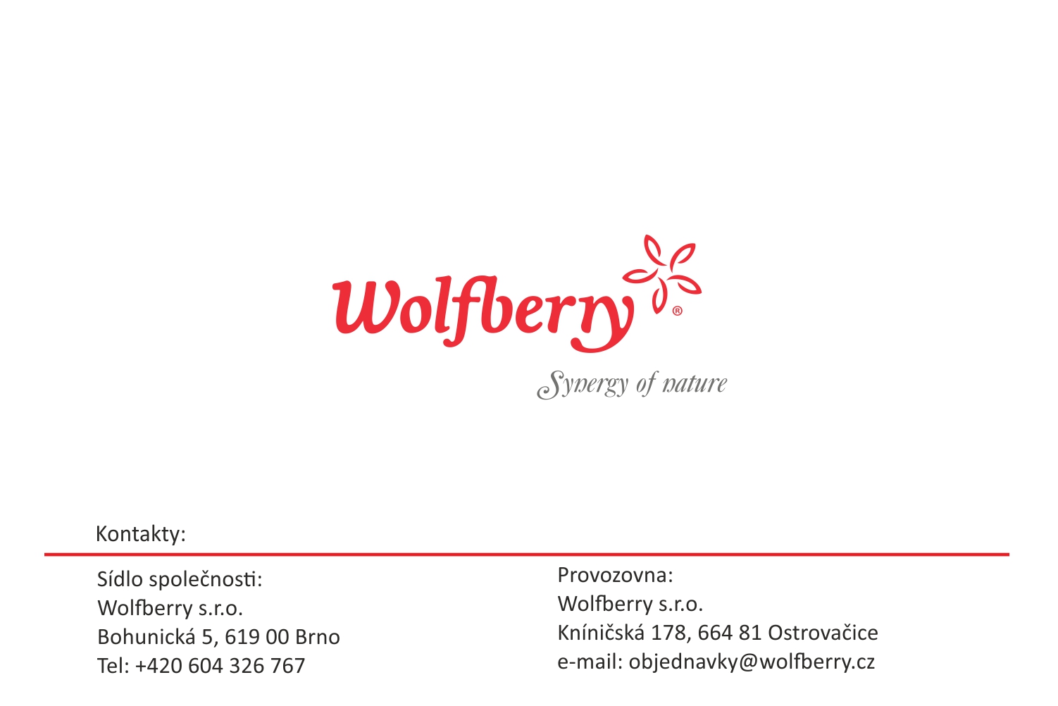 35_KATALOG PRODUKTŮ WOLFBERRY